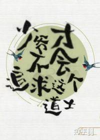 少爷才不会追求这个道士