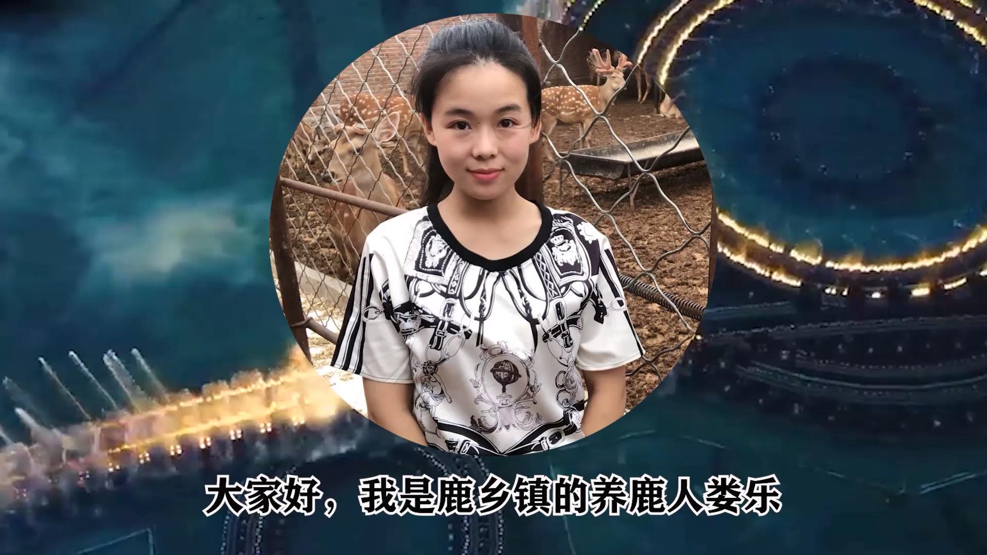 鹿茸血冻干粉的功效?