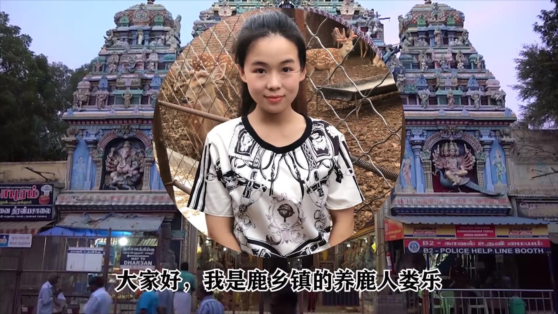 知乎 有问题就会有答案